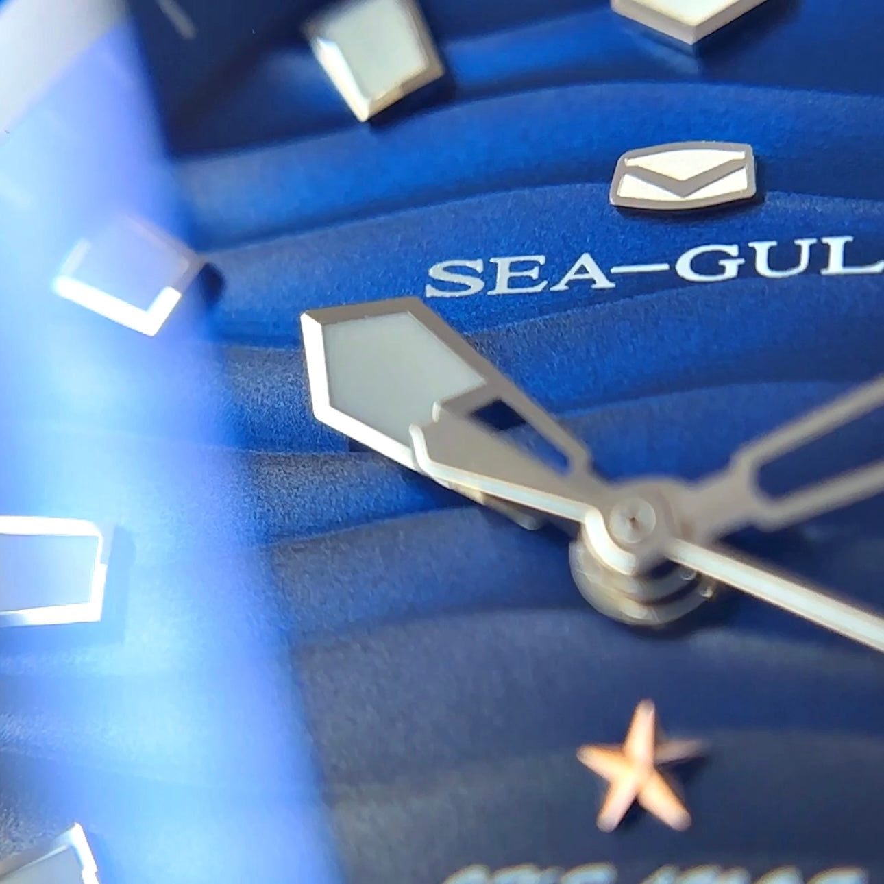 Seagull Automatic Dive Watch (SEE VIDEO)
