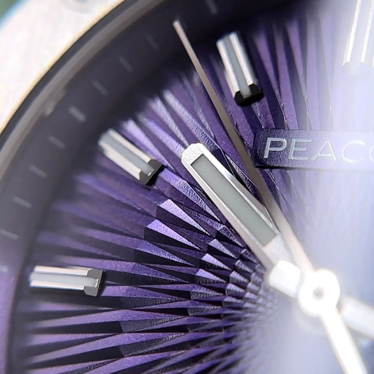 Peacock Plumage Gaze