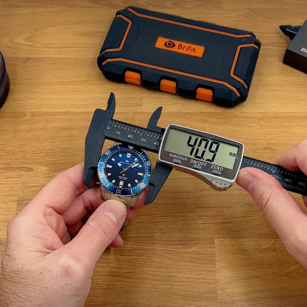 Seagull Automatic Dive Watch (SEE VIDEO)