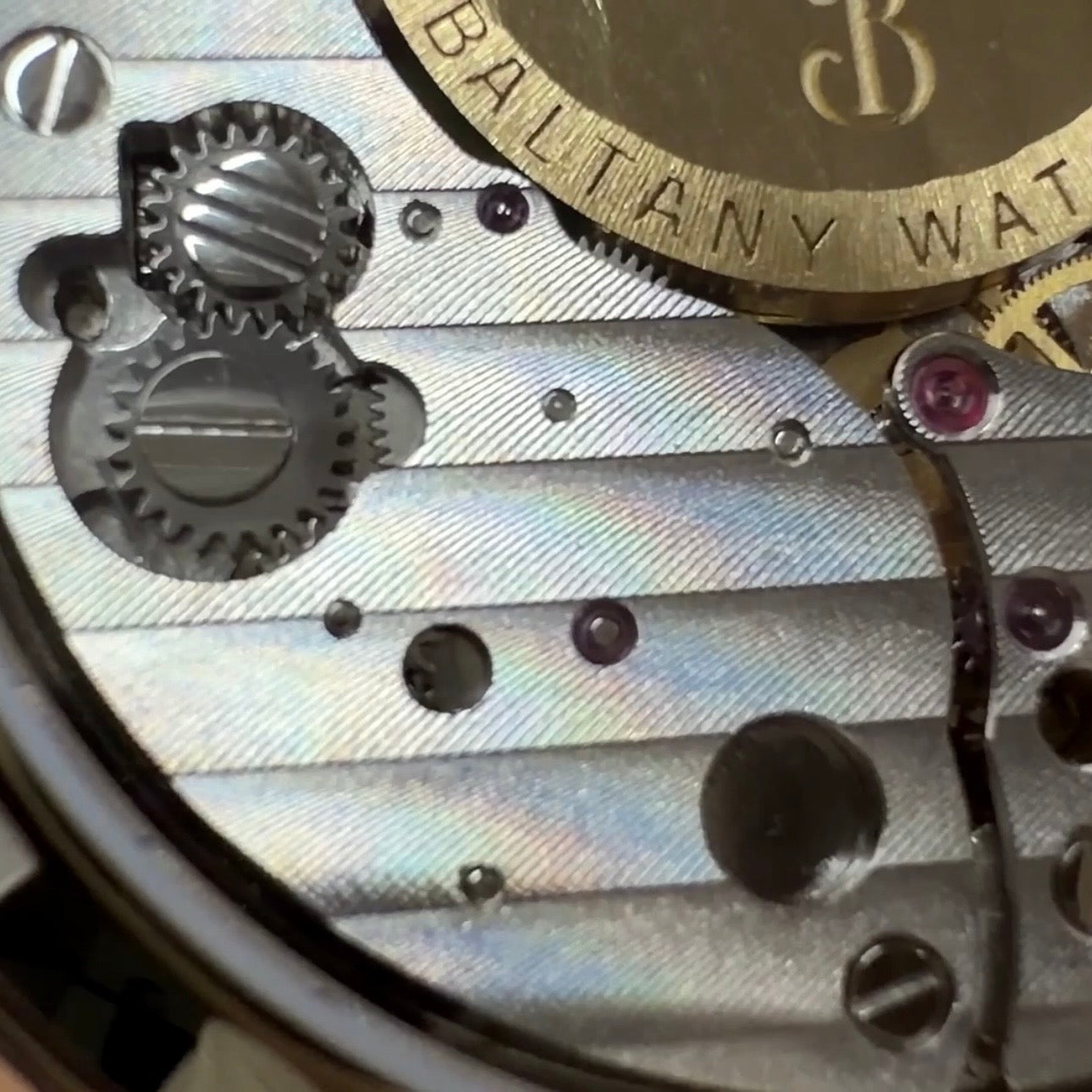 Baltany Micro Rotor Dress Watch